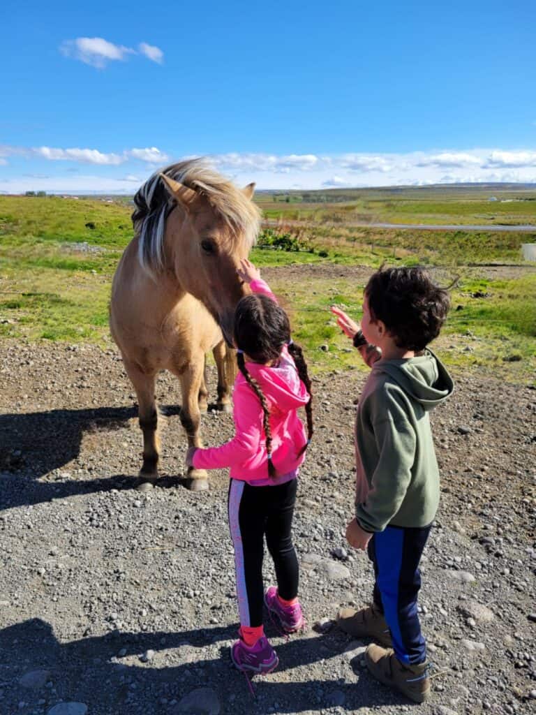 iceland with kids 